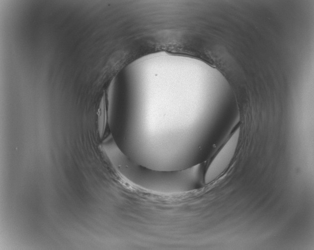 X0000056010041200509092123