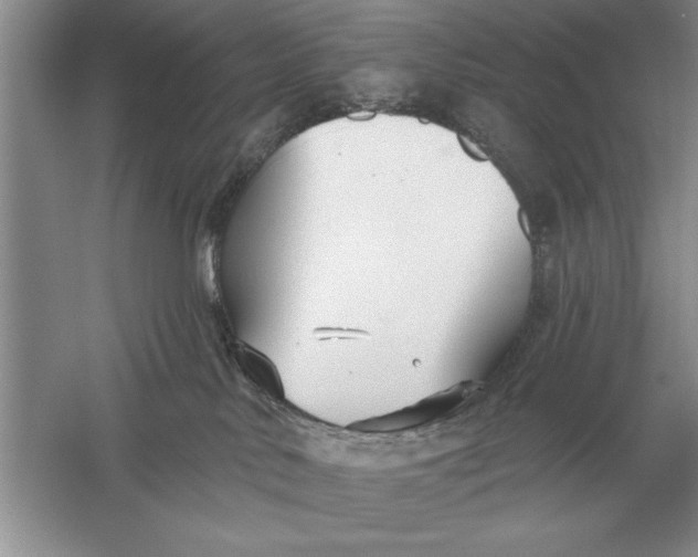 X0000056010042200509092123