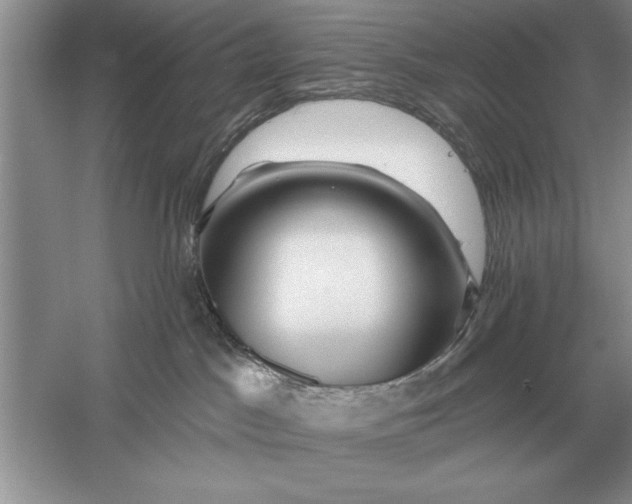 X0000056010045200509092123