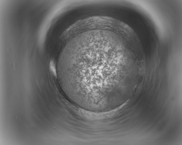 X0000056010047200509092123