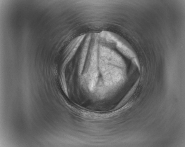 X0000056010048200509092123