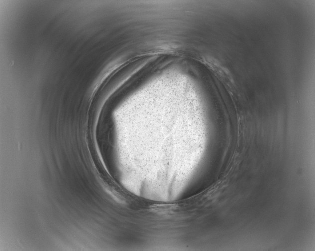 X0000056010051200509092123