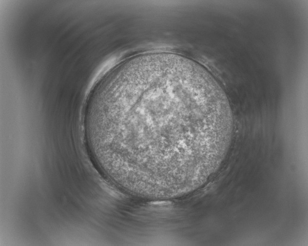 X0000056010053200509092123