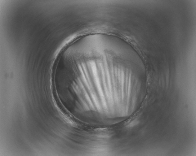 X0000056010054200509092123