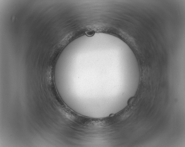 X0000056010065200509092123