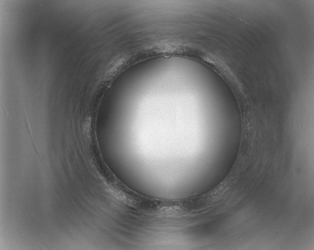 X0000056010066200509092123