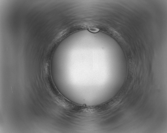 X0000056010071200509092123