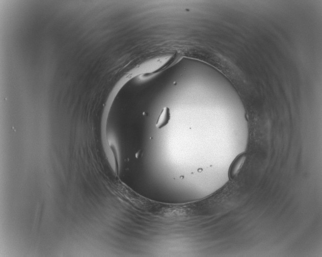 X0000056010075200509092123