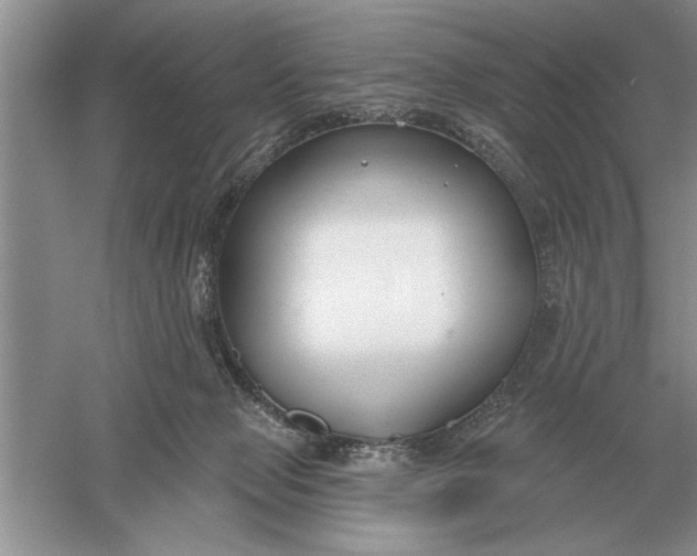 X0000056010077200509092123