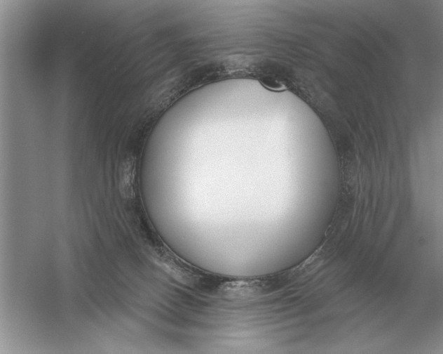 X0000056010082200509092123