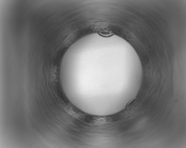 X0000056010083200509092123