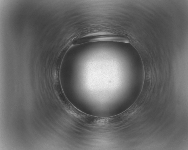 X0000056010084200509092123