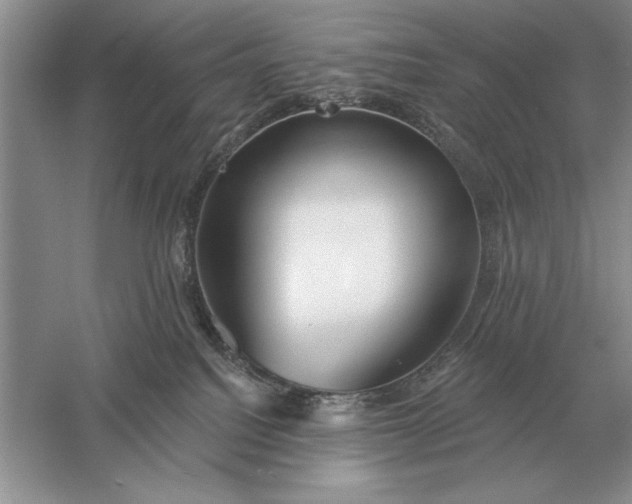 X0000056010088200509092123