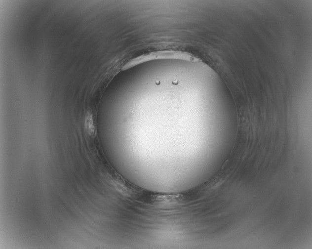 X0000056010089200509092123