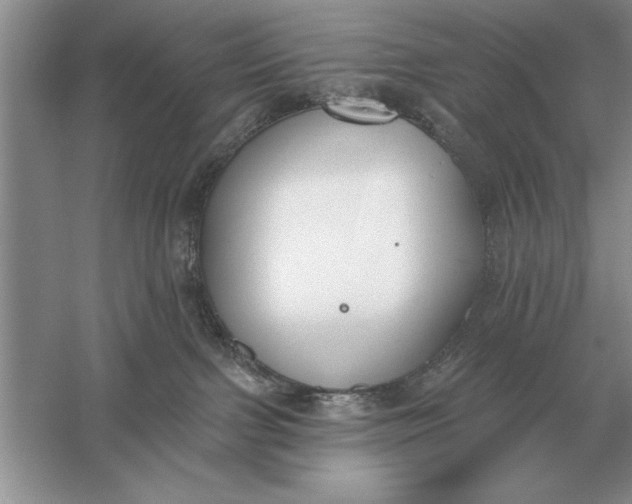 X0000056010091200509092123