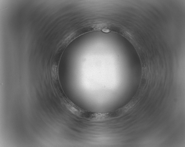 X0000056010093200509092123