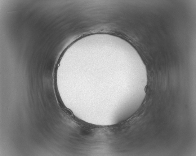 X0000056010100200509092122