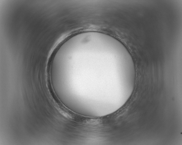 X0000056010102200509092122