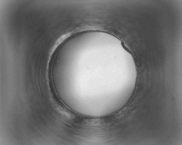 X0000056010104200509092122