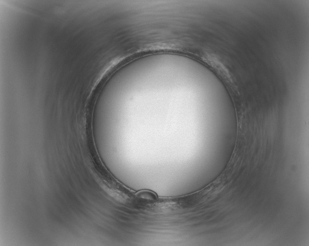 X0000056010108200509092122