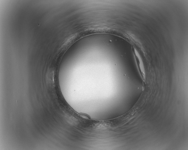 X0000056010115200509092122