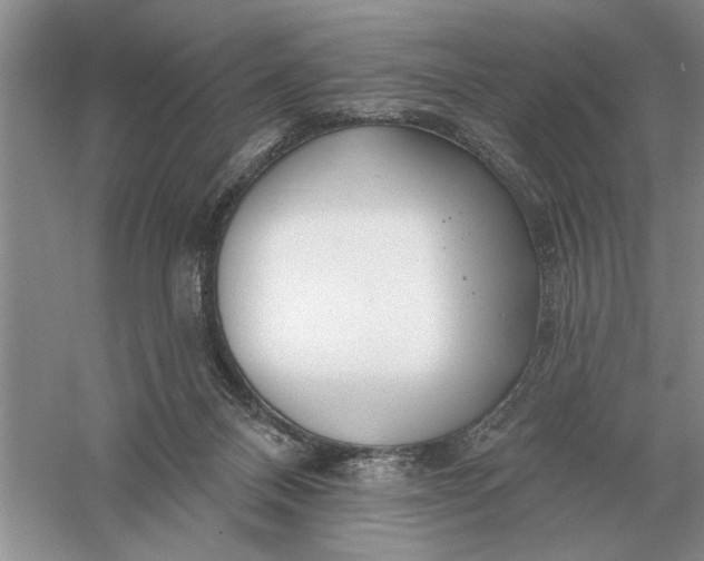 X0000056010120200509092122