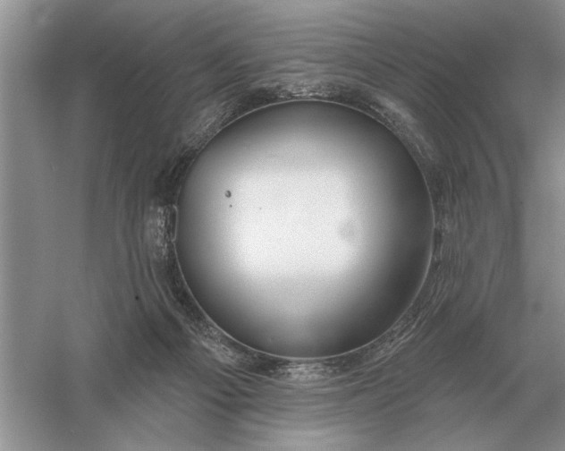 X0000056010121200509092122