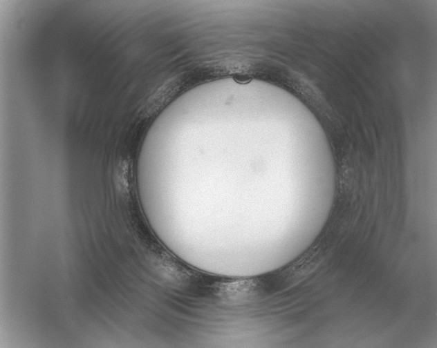 X0000056010122200509092122