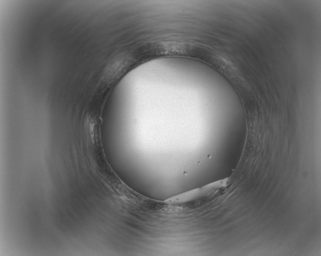 X0000056010123200509092122