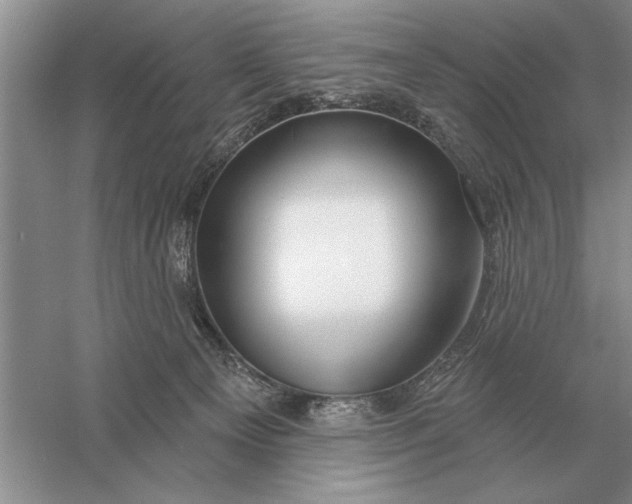 X0000056010129200509092122