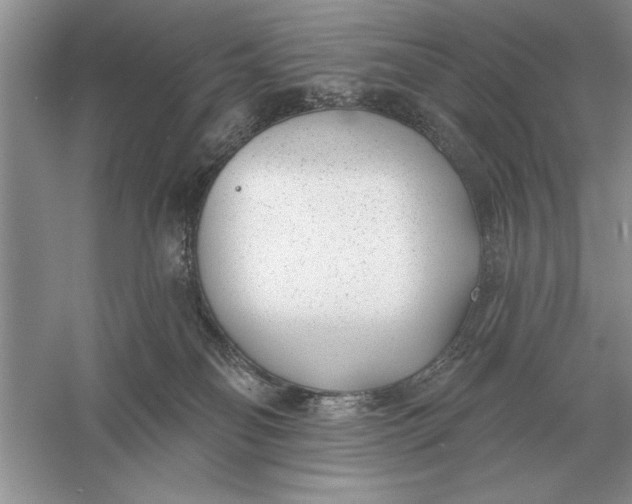 X0000056010134200509092122