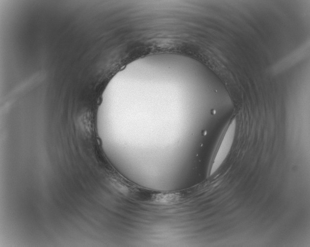 X0000056010135200509092122