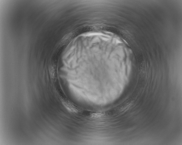 X0000056010139200509092122