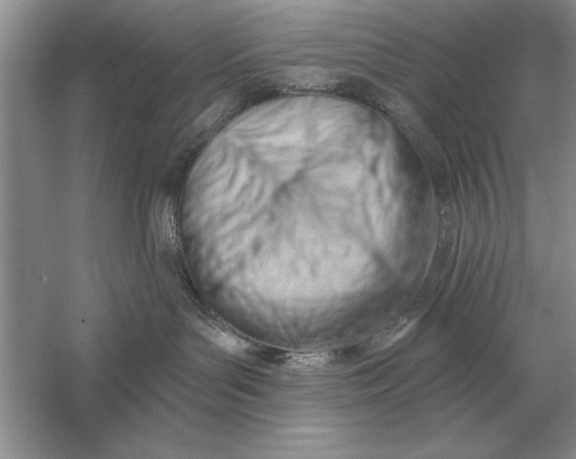 X0000056010143200509092122