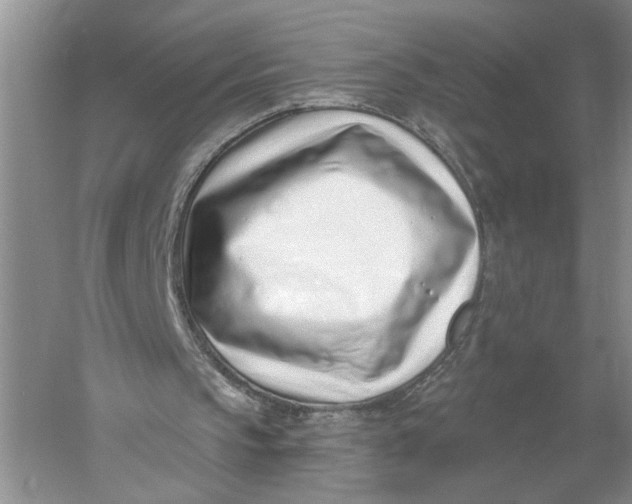 X0000056010145200509092121