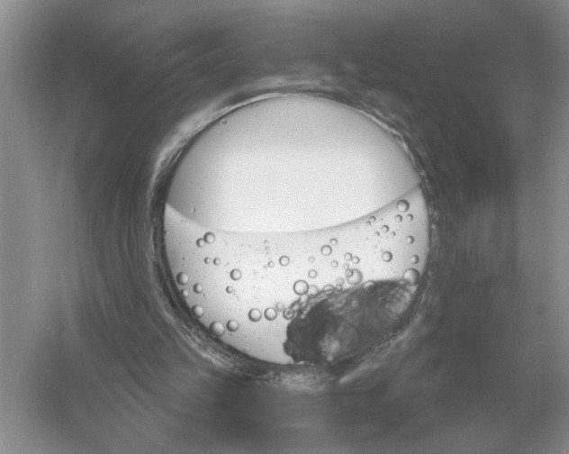 X0000056010149200509092121