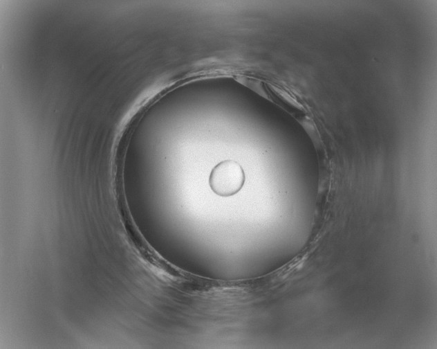 X0000056010150200509092121