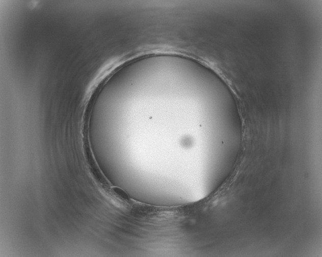 X0000056010151200509092121