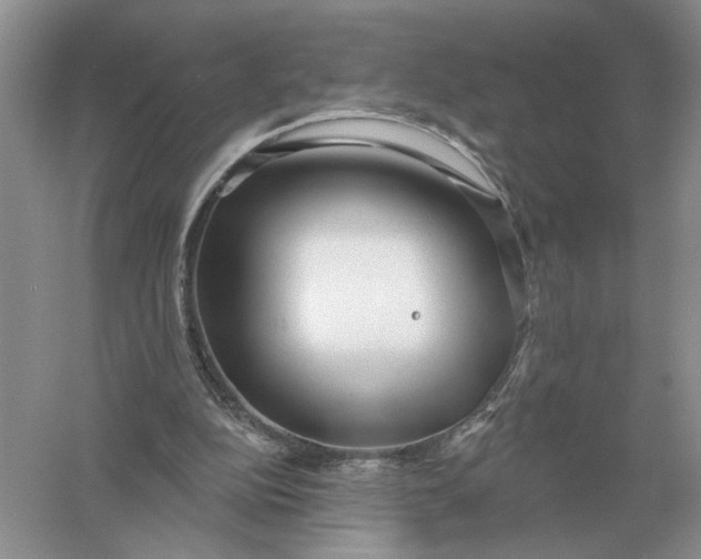 X0000056010152200509092121