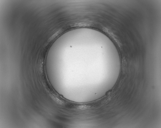 X0000056010153200509092121