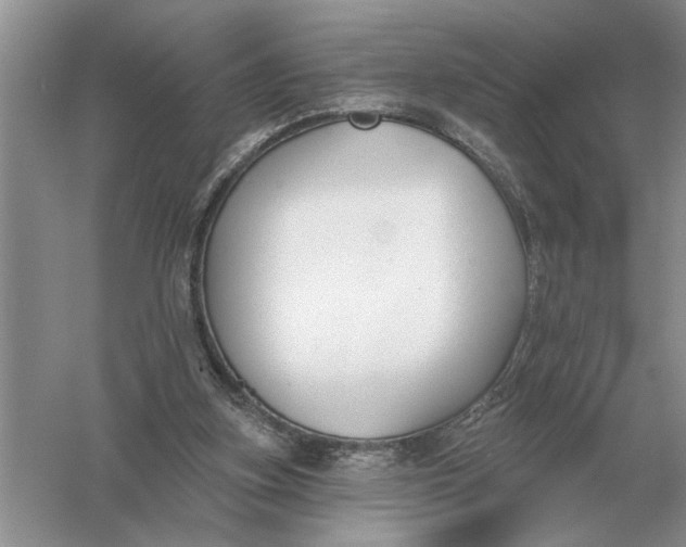 X0000056010155200509092121