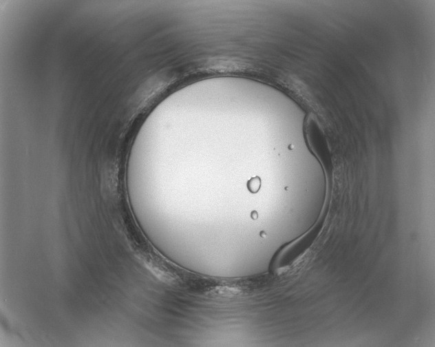 X0000056010159200509092121