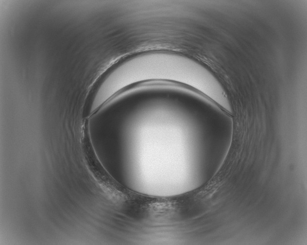 X0000056010160200509092121