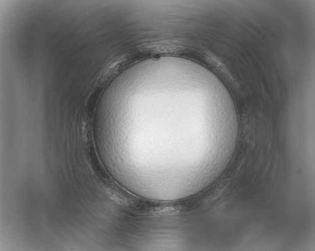 X0000056010161200509092121