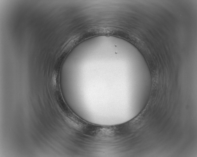 X0000056010166200509092121