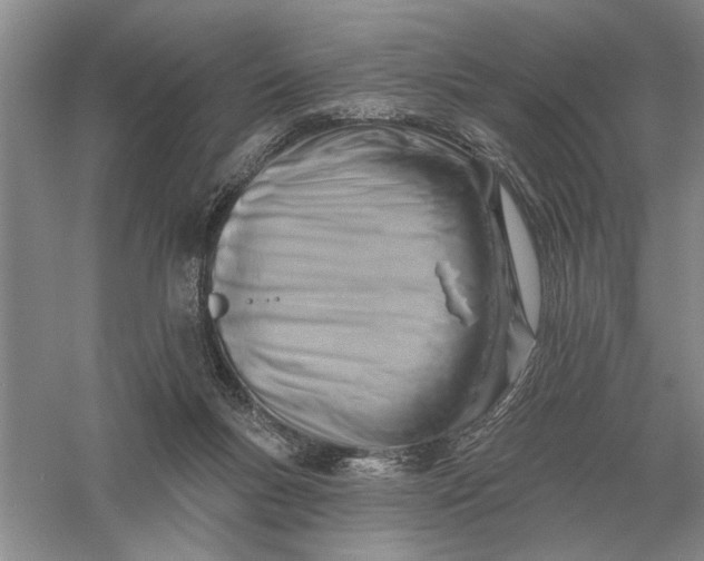 X0000056010167200509092121