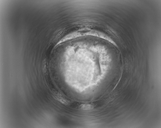 X0000056010169200509092121