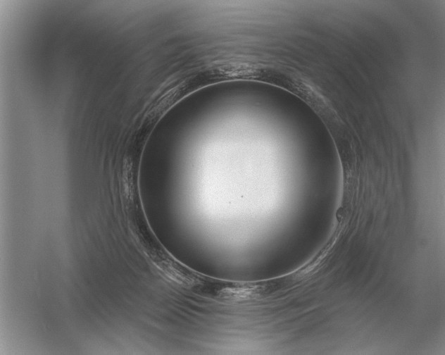 X0000056010170200509092121