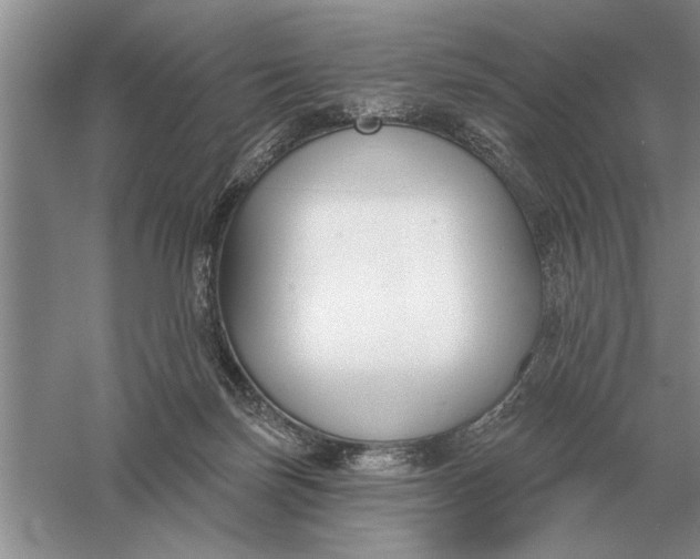 X0000056010171200509092121