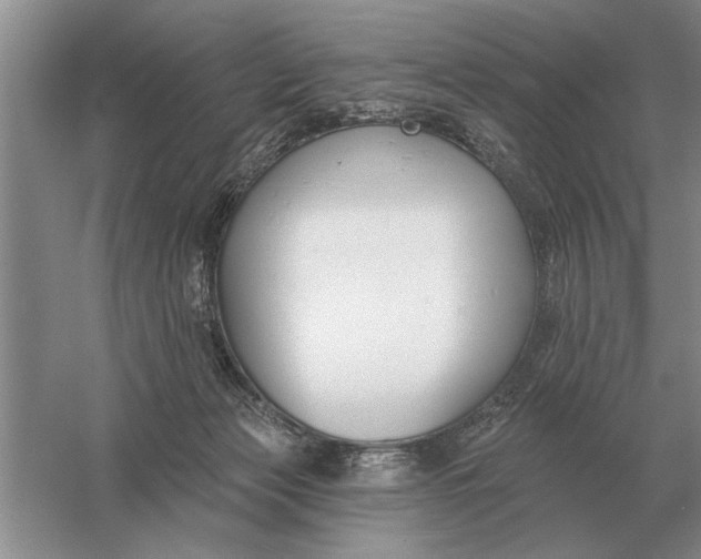 X0000056010173200509092121